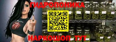 apvp Пушкино