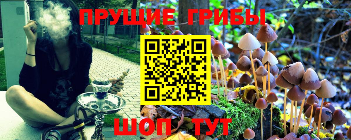Галлюциногенные грибы прущие грибы  Вход с VPN  Подольск 